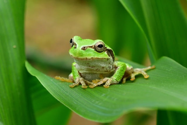 生物学のイメージ