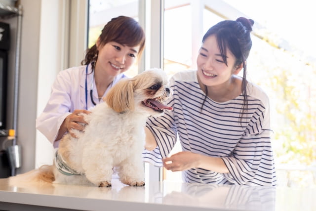 動物看護学とは？