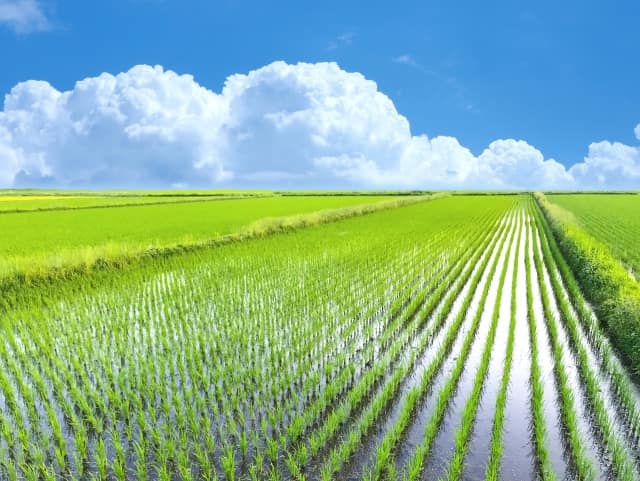 農学､生物生産･資源学とは？