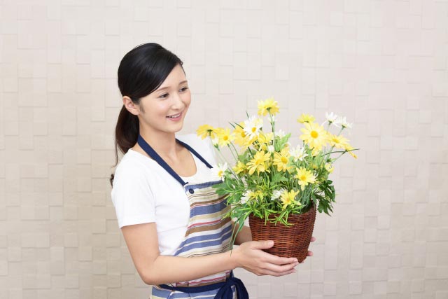 植物関係のイメージ