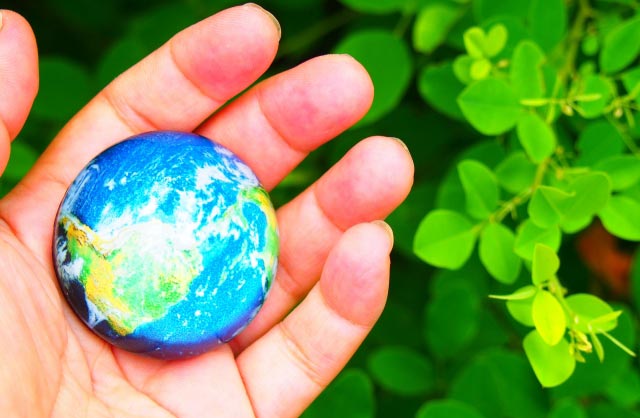 eco検定（環境社会検定試験）とは？